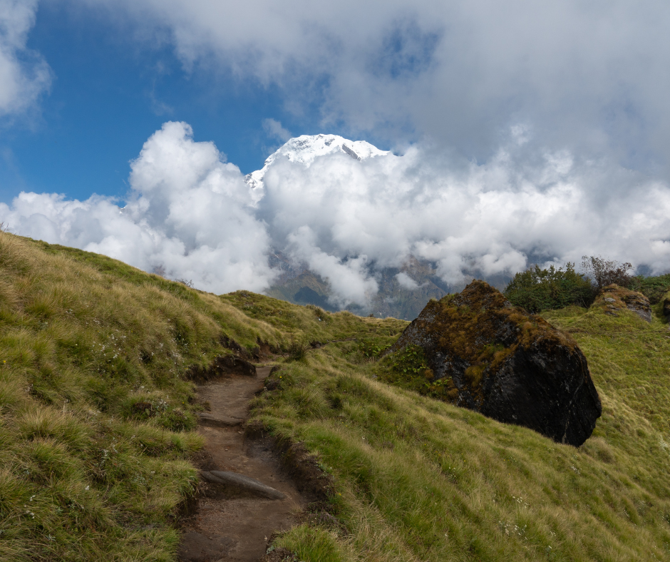 Mardi Himal Trek (3)
